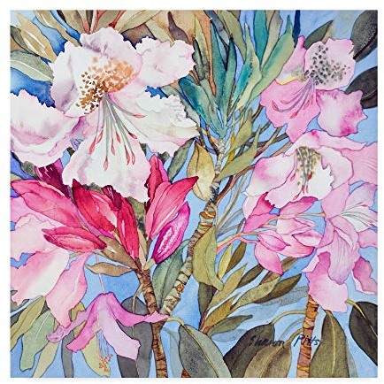 Trademark Fine Art Rhododendron Flowers by Sharon Pitts, 24x24-Inch