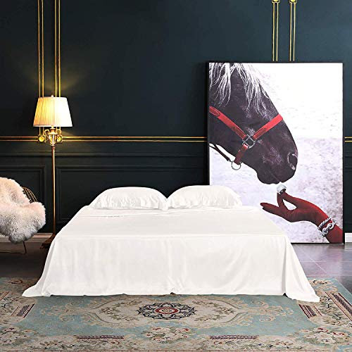 THXSILK 4-teiliges Bettwäsche-Set aus Seide, 100 % lange Stränge, 25 Momme Maulbeerseide, Bettwäsche-Set und Kissenbezüge, extrem weich und luxuriös Queen weiß