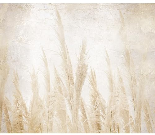 murando - Fototapete Selbstklebend Natur 147x105 cm - Foto Tapete Tapetenfolie Möbelfolie Wandverkleidung Wandtapete Motivtapeten Wohnzimmer Schlafzimmer 3d Effekt Modern - Gras Beige b-A-10194-a-a