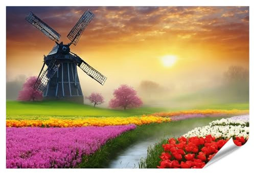 islandburner XXL Bild Poster Windmühle umgeben von blühenden Tulpenfeldern in leuchtenden Farben bei nebligem Sonnenaufgang Premium Bilder Fotodruck