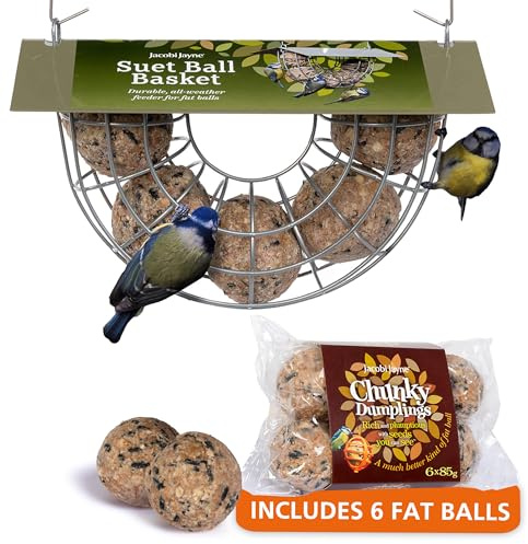 Fat Ball Feeder with fat balls- Jacobi Jayne® Suet Ball Basket - Holds 5 fat balls for wild birds - fat ball feeders hanging - suet ball holder - fat ball feeder for small birds only