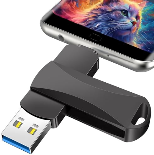 Loirepint 2 en 1 Memoria USB 512GB USB 3.0 Pendrive Alta Velocidad Tipo C Memoria USB C Disco Duro Externo 512GB para OTG Android/Teléfono/PC/Tablet