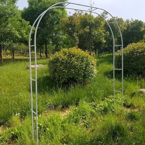 Arche de jardin en métal avec roses pour plantes grimpantes, pergola pour plantes grimpantes, pergola pour support de vigne 140 x 240 x 40 cm