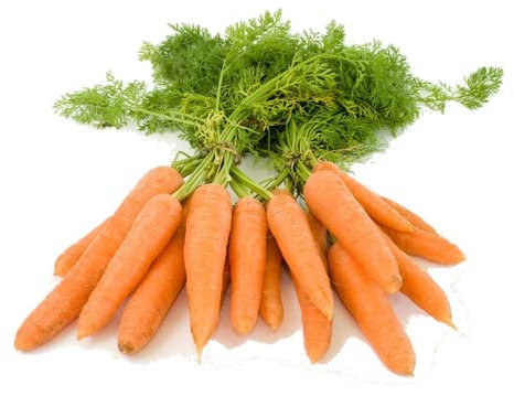 Semillas de Zanahoria Nantesa de Fácil Germinación Planta de Uso Culinario