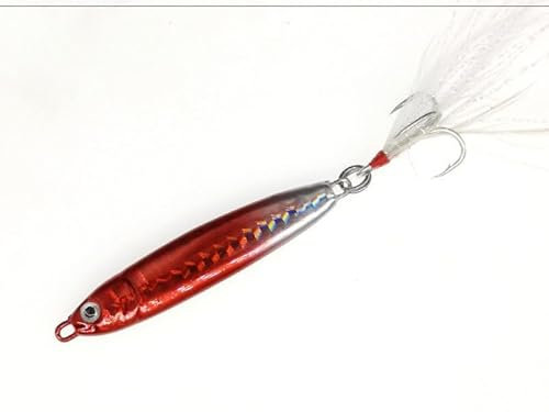 Comcapy 10/15/20/30g Dur Filature appât Plume métal Jigger pêche leurre Basse Crochet coloré manivelle gabarits Long Naufrage (Color : 6, Size : 30g)