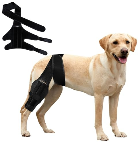 Knieorthese für Hunde bei gerissenem vorderen Kreuzband am Hinterbein, verstellbare Hüftstütze für Hunde bei Patellaluxation, Hundebeinorthese für Hinter- oder Vorderbein seitlichen Stabilisatoren (L)