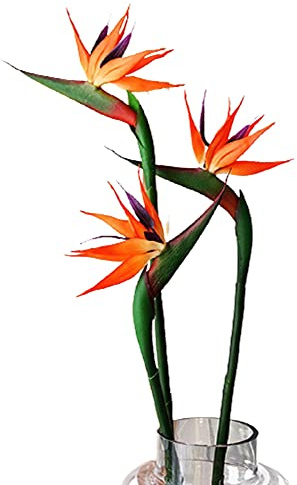 HAOSHICS Lot de 6 oiseaux paradisiaques artificiels Strelitzia en soie pour la maison, le bureau, la décoration de table de mariage (orange, taille S)