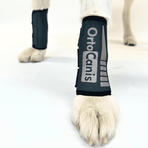 Ortocanis – karpaledsbandage för hund – artros, ligament och senskador eller agility-hundar – tillverkad av neopren ARD – storlek XL 20–22 cm