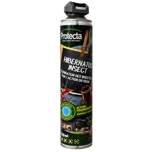 HIBERNATUS INSECT – Spray fluviante anti-insetti con effetto Glaciale (-40°C) | Elimina istantaneamente insetti striscianti e volanti | Senza biocida, senza odore, senza traccia, uso interno ed