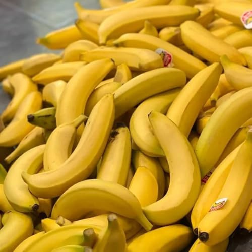 semi di banana, antiche varietà di banano resistente, per luoghi soleggiati semi da balcone balcone 150pcs