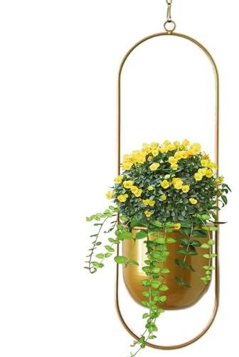 Piantatrice a soffitto: vaso di fiori in metallo, vaso di piante appesi, grucce decorative, supporto per piante interne, supporto per piante durevoli, vasi di fiori appesi, ornamento decorativo