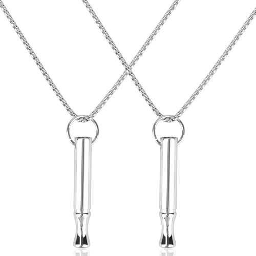 Mikovivi 2 Pièces Collier de Respiration de Pleine Conscience, Collier Pendentif Amusant en Acier Titane Breathlink Respiration Profonde pour Femmes et Hommes (Argent)