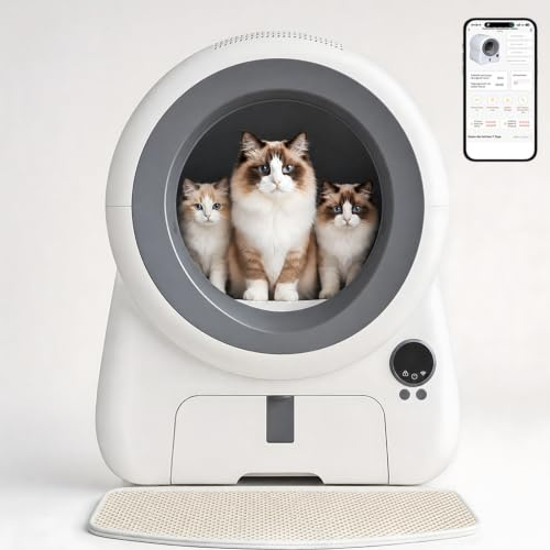 JUMMICO Automatisches Selbstreinigende Katzentoilette, XXXL 100L Innenvolumen, 12L Sammelbehälter, APP-Steuerung, Luftvorhang sowie 10 Sicherheitsensoren mit Einklemmschutz