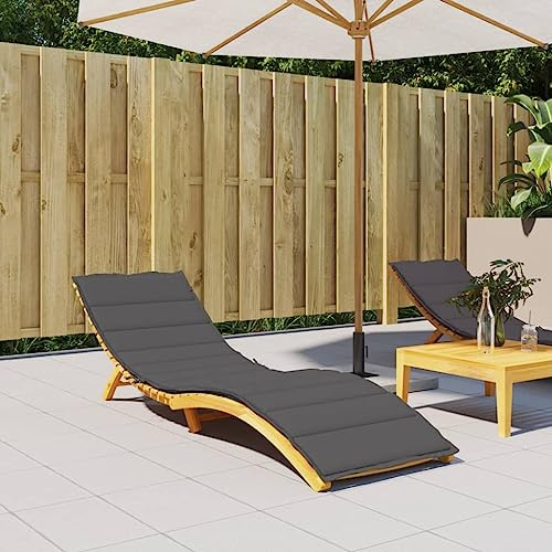 Annlera Sonnenliegen-Auflage in Anthrazit 200x70x3cm - Gartenmöbel-Kissen aus Oxford-Gewebe für Liegestuhl, Gartenliege und Gartenstuhl