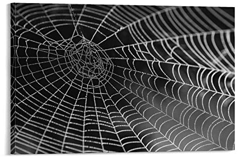 flechr Spinnennetz, Tautropfen, Tropfen, Spinnennetz, Wandkunst, Poster, Dekoration, Bild, Leinwand, Malerei, Poster, 20 x 30 cm