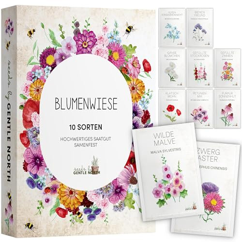 Blumen Samen Set - 10 bunte Blumensamen Sorten für den Garten oder Balkon, die Bienenweide und Wildblumenwiese - Blumenwiese Samen - bunte Wildblumensamen Mischung