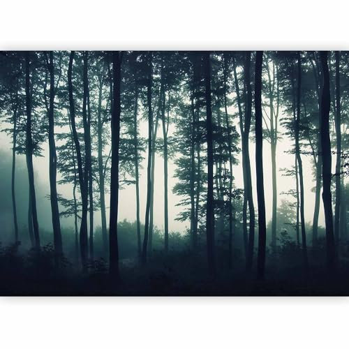 murando Fotomurales 300x210 cm XXL Papel pintado tejido no tejido Decoración de Pared decorativos Murales moderna de Diseno Fotográfico Bosque Naturaleza c-B-0223-a-a