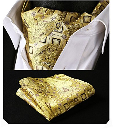 HISDERN Ascot slips herr elegant prickig halsduk ascot herr kostym halsduk halsduk och ficka set för fest företag bröllop, Gul, one size
