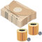 20 sacchetti per aspirapolvere + 2 filtri per aspirapolvere Karcher WD2 e MV2. Alternativa per 6.959-322.0 (sacchetto) e 6.414-552.0 (filtro a cartuccia)