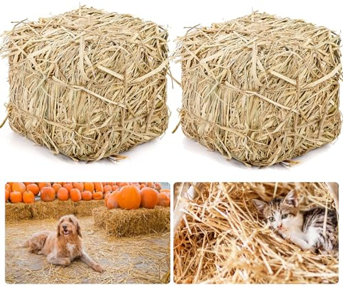 PetPhindU Natural Straw Bale for Cat Shelter, 8 X 8 X 8 Inch Soft Dry Straw Bedding for Cats Feral Cats and Small Animals, Decorative Hay Bale for Outdoor Use Farm Decor Garden Straw and Pet Bedding