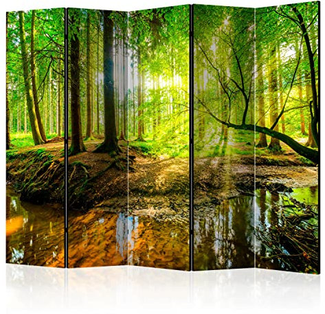 murando - Paravento Decorativo Bifacciale Alberi 225x172 XXL 5 Pannelli Divisori - Stampa su due Lati su Tela in TNT - Separe Divisorio per la Casa - Non Trasparente - Lago c-B-0241-z-c