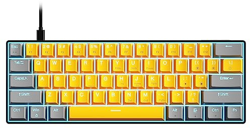 Docooler Clavier Gamer Mécanique 60% Câblé,Rétroéclairage LED,61 Touches, Interrupteur Bleu