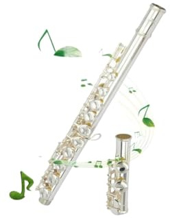 Flauto traverso flauto per principianti Strumento per flauto placcato in argento a foro aperto a 16 fori bocchino in argento addensato argentato