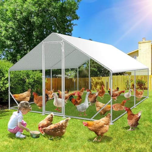 Peviasot Pollaio con recinto esterno, 3x4x2m con lucchetto di sicurezza e telone PE impermeabile, facile da pulire, recinto per galline, gabbia per uccelli, piccoli animali e piante