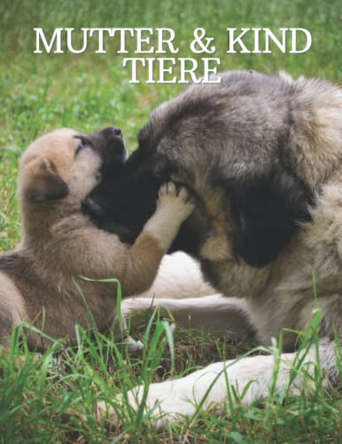 Mutter & Kind Tiere: Fotografie der schönen Mutter und Kind Tiere für Senioren, Parkinson, Demenz Erwachsene mit Alzheimer, und Patienten zu helfen, Gedächtnisverlust.