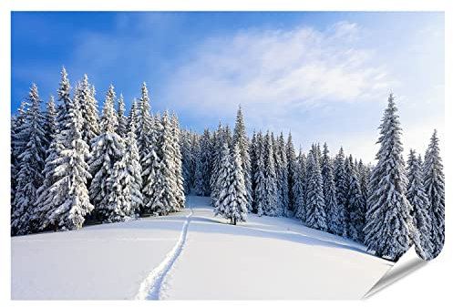 islandburner XXL Bild Poster Winterlandschaft mit schönen Bäumen unter dem Schnee Premium Bilder Fotodruck