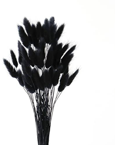 FENGCHUANG Pampasgras Getrocknet Trockenblumen, 45cm 50 Stück Getrocknete Natürliche Pampasgras Pflanzen Flauschige Trockenblumen (Schwarz)