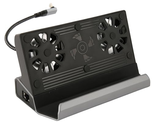 Station d'accueil Compatible avec Steam Deck, 10 en 1 pour Rog Ally Dock, Station avec 5 USB 3.0 2.0 Double Ventilateur de Refroidissement Interface Multimédia HD 4K à 60 Hz