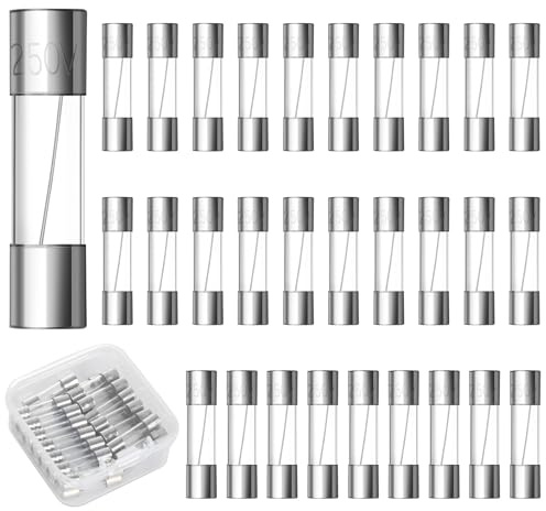 30Pcs Fusible Verre 10A 250V, Fusible 10A 250V à Action Rapide, 5 x 20mm Fusibles 250V avec Boîtier En Plastique
