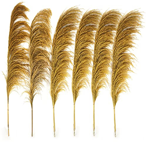Decorazione di erba di Pampa dorata alta, 6 pezzi di 110 cm di grande erba di Pampa colorata secca naturale, floreale di Pampa dorata con aroma di fiori secchi, pianta secca dorata per il salotto
