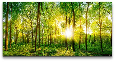 Paul Sinus Wandbild 120x60cm Atemberaubender Wald – Sonnenstrahlen im Wald, Naturidylle, inspirierende Raumgestaltung.