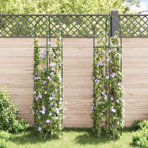 Vopese Eisen Rosenbogen Rankhilfe Kletterpflanzen Stütze Dunkelgrün 38x190cm Terrasse Model40779