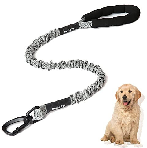 Elastisches Zugseil für Hunde, Hundeleine aus Nylon, Hundeleinen Große Hunde, Robuste Trainingsleine, mit Bequemen Gepolsterten Griff und Karabiner, für Kleine & Große Hunde