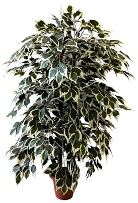 MY GARDEN - FIORI E PIANTE ARTIFICIALI Pianta Artificiale per Interno o Esterno, Pianta Ficus Benjamin Artificiale Decorativa, Pianta Finta Soggiorno Camera Cucina Salotto Ufficio