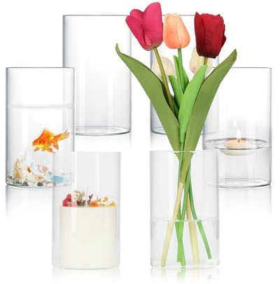 6 Stück 15cm Zylinder Glasvasen für Tischdeko, Deko Vasen Set, Kleine Vase Durchsichtig für Kerzen, Blumen, Kieselsteine, Muscheln, Perlen & Windlicht Glas - Durchsichtige Blumenvase Zylinder