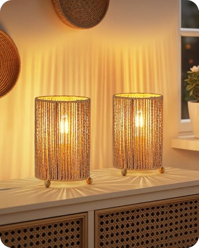 GOEBLESON Small Rattan-Style Table Lamp Set of 2, Handwoven Paper Lampshade, 4W 2400K LED Bulb Included, Boho Bedside Lamp, Desk Lamp for Living Room, Striped Lampshade ZS11TLKP205N1