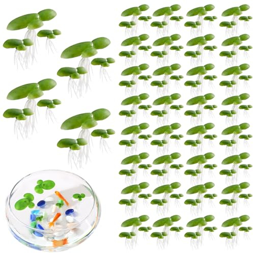 Alovez 36 Stück Künstliche Wasserlinsen, Wasserlinsen für Teich, Aquarienpflanzen, Künstliche Wasserpflanzen Deko für Miniteich, Fischbecken, Aquarium