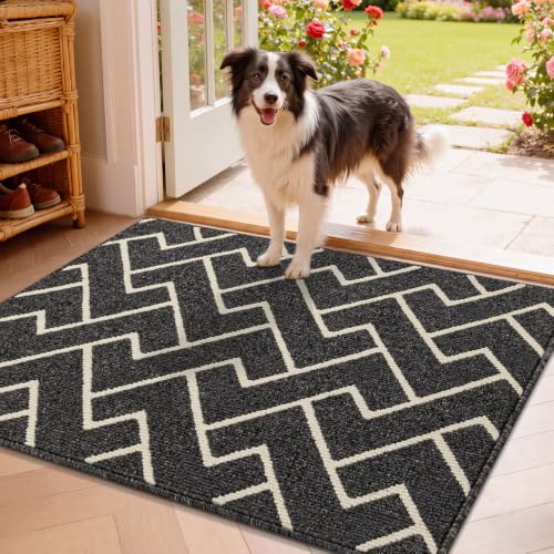 Biscpro Türmatte vorne hinten aus Gummi, rutschfest, 80 x 120cm, saugfähig, schmutzabweisend, Eingangsmatte, Bodenmatte für den Eingang, maschinenwaschbar