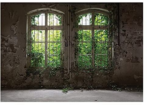 WallArena - Vlies Fototapete Fenster Pflanzen Blätter Vintage Betonoptik 312x219 cm - Fototapeten - Tapeten - für Wohnzimmer Schlafzimmer - Vliestapete Wandtapete Tapete 3D Effekt- inkl. Kleister