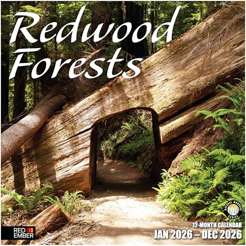 RED EMBER Redwood Forests 2026 Wall Calendar 12 Month | 12 x 24 Open | Thick & Sturdy Paper | Giftable | Calendar 2026