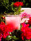 HGD Villeroy & Boch Rose-Vaso votivo (tamaño Grande), Cera, Rojizo, Large