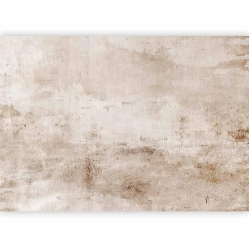 murando - Papier peint panoramique artistique 450x315 cm - Revêtement mural décoration pour chambre salon cuisine - Design unique et moderne - Marron beige - f-A-10103-a-a