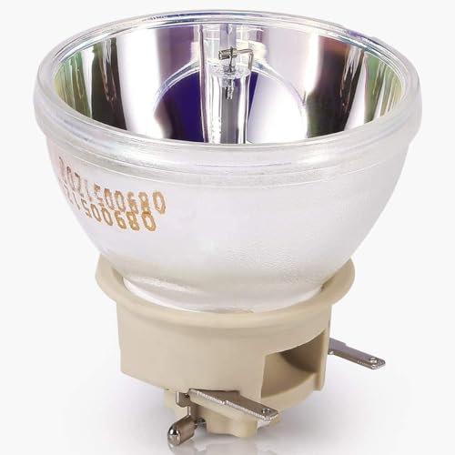 GreenBale Beamerlampe für INFOCUS P130 P131 P132 IN112AA IN112BB IN113AA IN113BB IN114AA IN114BB IN115AA IN115BB IN116AA IN116BB IN117AA IN118AA IN118BB IN119AA IN119BB IN188AA IN199BB Beamer Lampe