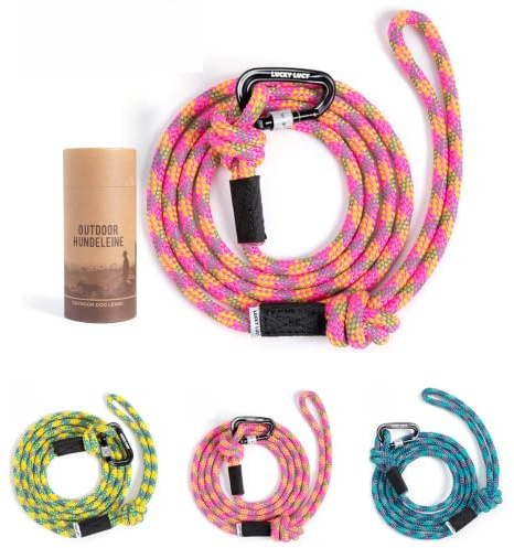 Hundeleine 2m reflektierend, robuste Hundeleine für mittel & große Hunde, Nylon Leine mit Aluminium Sicherheitskarabiner, reißfest, Anti-Zug Hundeleine, Trainingsleine, Seeblau