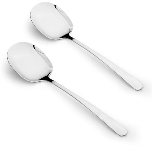 LELE LIFE Paquete de 2 cucharas grandes de servir de 29 cm de largo, juego de utensilios de servir de acero inoxidable SUS304 para bufé, fiestas, catering, cocina (cucharas de servir)