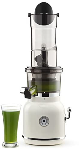 Cold Press Vertical Juicer Machine Slow Masticating Juicer Extractor High Nutrient Fresh Vegetable and Fruit Juice Extractor with Quiet Motor & Reverse Function Easy Cleaning 800 Ml (Color : White)